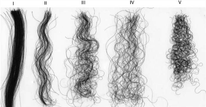 Leia mais sobre o artigo Como Reconhecer a Curvatura do Seu Cabelo?