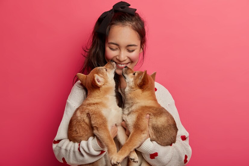 Tráfego pago para pet shop