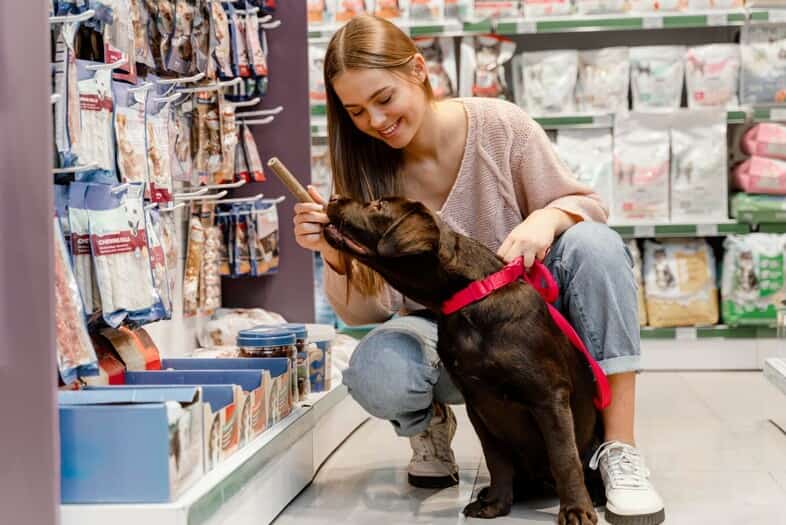 Facebook Ads para pet shop: Como vender mais produtos para pets online